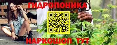 дмт Гусь-Хрустальный