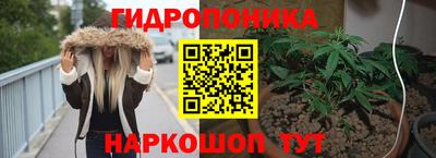 дмт Гусь-Хрустальный