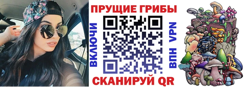 Псилоцибиновые грибы прущие грибы  Лосино-Петровский 